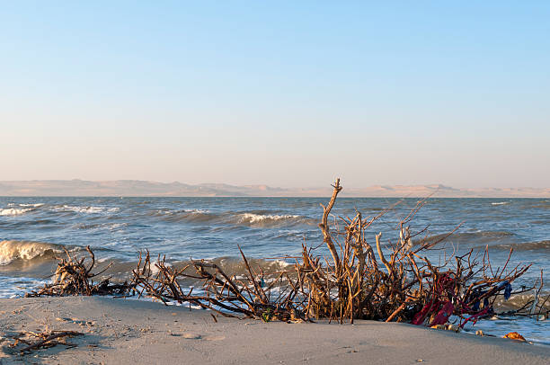 湖で qarun fayoum 、エジプト - fayoum ストックフォトと画像