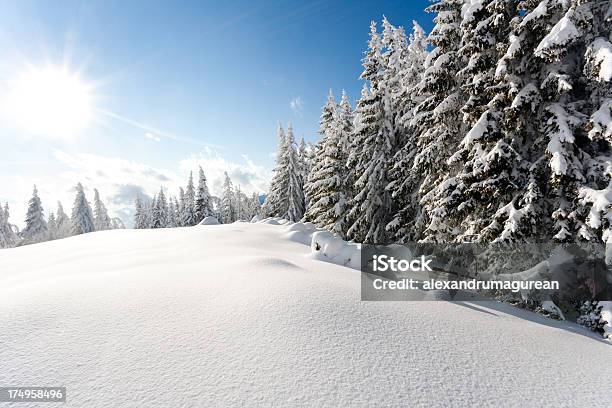 冬の風景 - カッコいいのストックフォトや画像を多数ご用意 - カッコいい, カラー画像, トウヒ