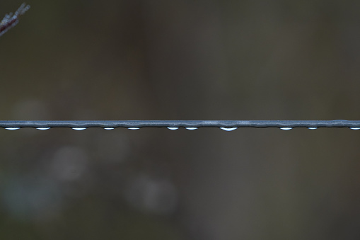 Water droplets on a wire fence