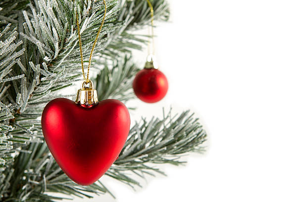 Heart shape Christmas decoration on a snowy Christmas tree branch with copy space on the right side.Further choices below: