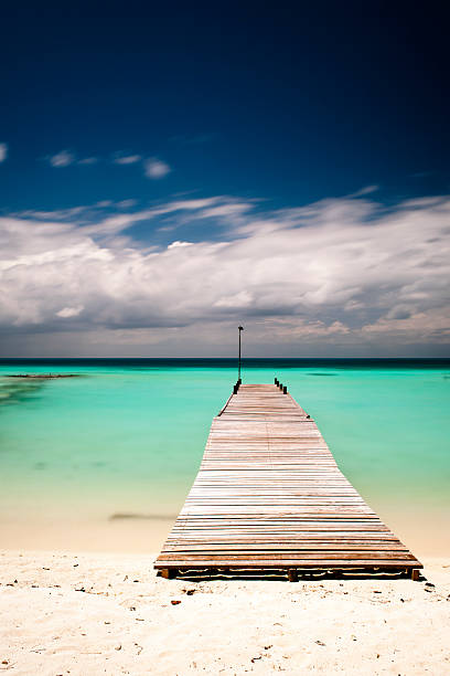 istock Pier in the tropics 174958857