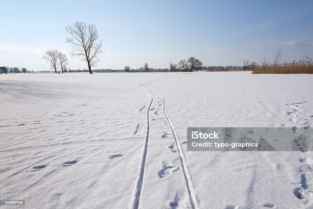 Paysage hivernal - Photo de Allemagne libre de droits