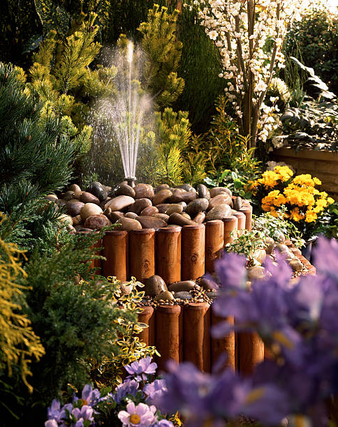 bella fontana nel giardino colorate aiuola - fountain formal garden ornamental garden water foto e immagini stock