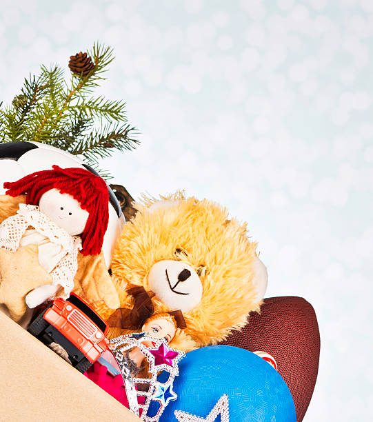 Toy Donation Box with Holiday Pine Branch