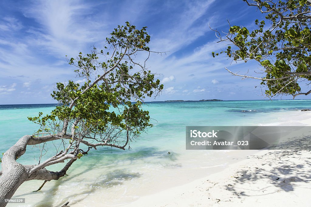 Playa Tropical - Foto de stock de Agua libre de derechos