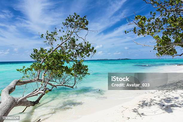 Playa Tropical Foto de stock y más banco de imágenes de Agua - Agua, Aire libre, Arena