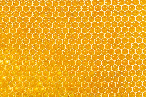 closeup of fresh real honeycomb