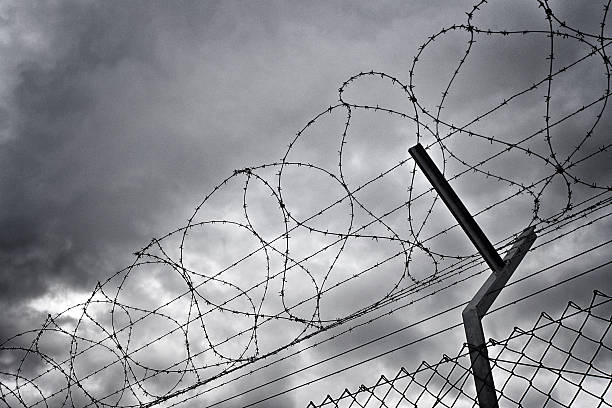Barbed Wire Fence Barbed wire fence against a dramatic sky. Grain added to increase the dramatic effect. concentration camp photos stock pictures, royalty-free photos & images