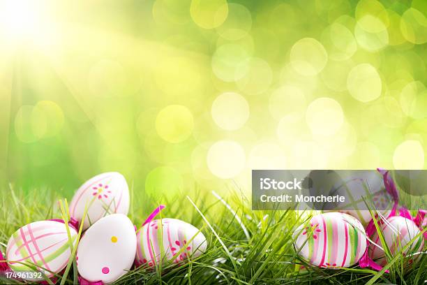 Colorful Easter Eggs On Illuminated Background With Copy Space Stock Photo - Download Image Now