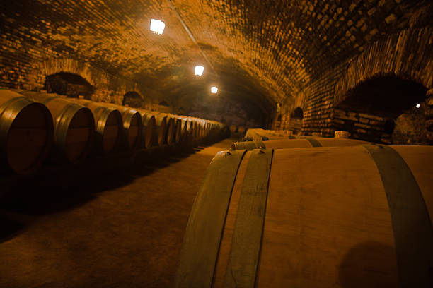 Wine cave with oak barrels in Maipo Valley Chile stock photo