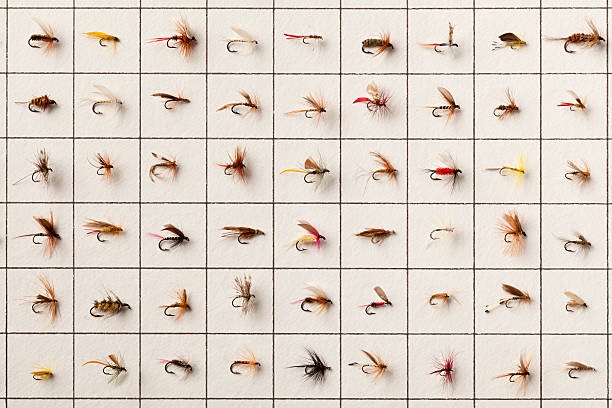 240+ Fly Fishing Still Life Stock Photos, Pictures & Royalty-Free Images -  iStock