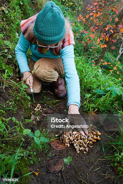 Foto de Mulher Escolhendo Cogumelos e mais fotos de stock de Bosque - Floresta - Bosque - Floresta, Cogumelo - Fungo, Cogumelo Comestível