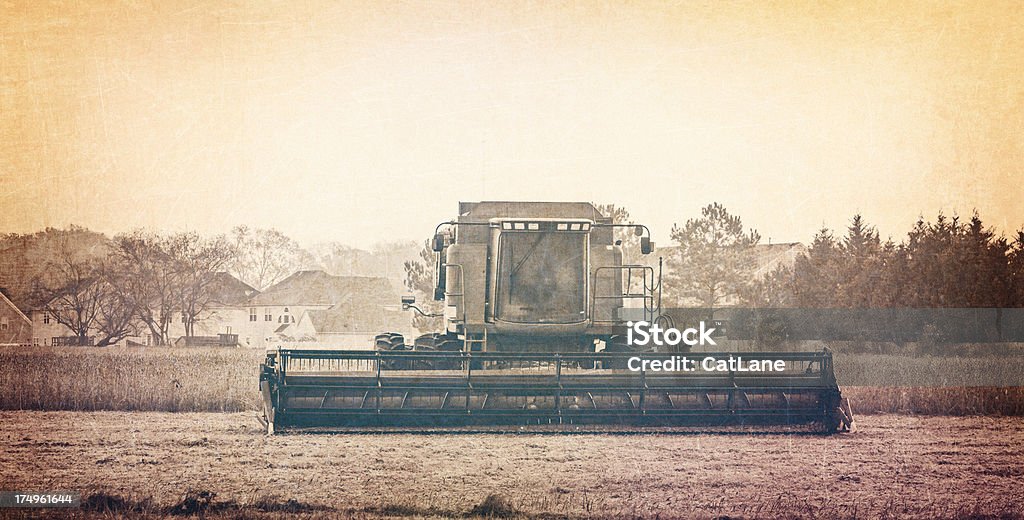 Mähdrescher in Feld bei Sonnenaufgang - Lizenzfrei Agrarbetrieb Stock-Foto