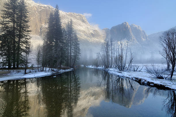 blue nebligen morgen in yosemity national park - yosemite falls tree branch landscape stock-fotos und bilder