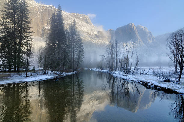 Blue misty morning in Yosemity National Park stock photo
