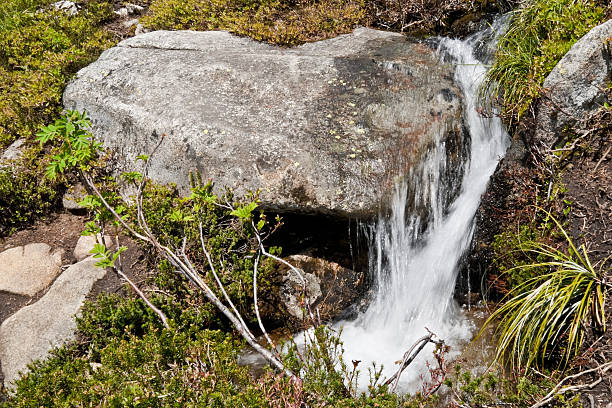 Small Waterfall in an Alpine Meadow The numerous waterfalls of the Cascade Range and foothills are best viewed in early summer as melting snow feeds the streams, and again in autumn as the rains fill the streambeds. During late summer, only the major waterfalls will be flowing. Only a small number of the many waterfalls in Washington State have been named. Whether the falls have names or not, they are a refreshing sight to both the eye and spirit. This waterfall was photographed on Granite Mountain in the Alpine Lakes Wilderness, Washington State, USA. jeff goulden alpine lakes wilderness stock pictures, royalty-free photos & images