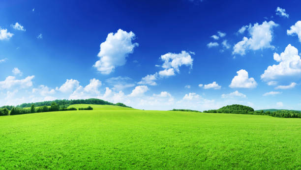 istock 68Mpix Spring Hills - Green Grass Meadow Landscape 174962640