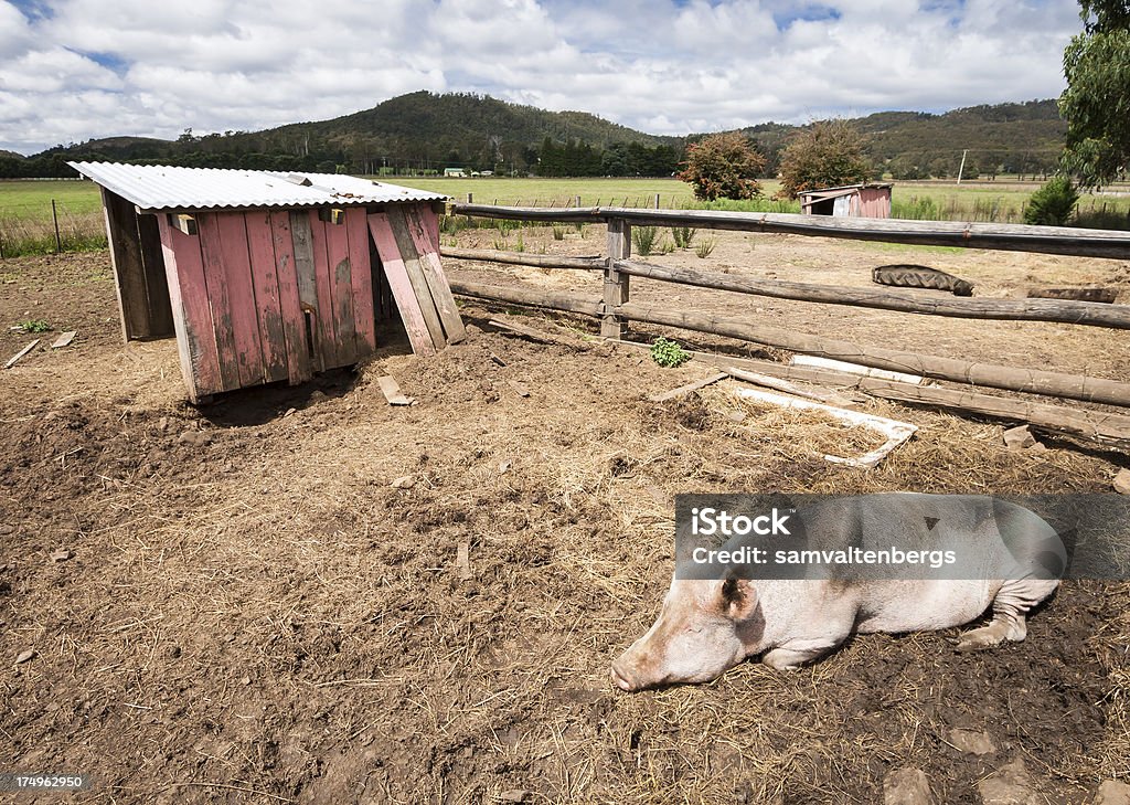 Pub Nel Cortile per cavalli - Foto stock royalty-free di Frangivento