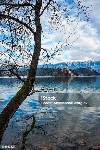 Chiesa Dellisola Del Lago Di Bled Slovenia - Fotografie stock e altre immagini di Acqua - Acqua, Albero, Alpi