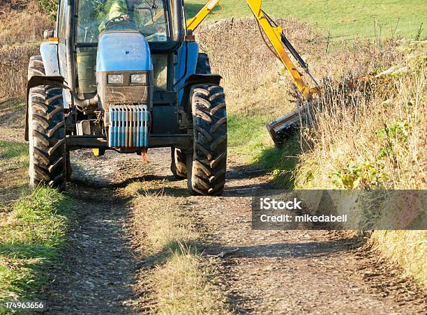 Borde De Corte Foto de stock y más banco de imágenes de Agricultura - Agricultura, Aire libre, Banda verde