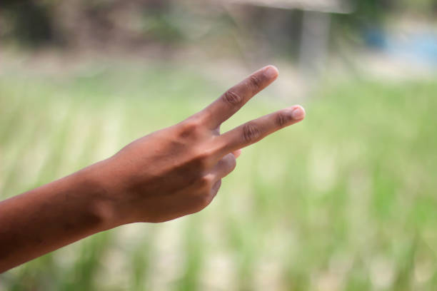 Intention expressed only by hand gestures.