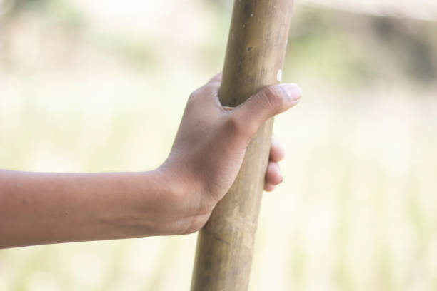 istock A man holds old stick with his hand and blurred background 1749638432