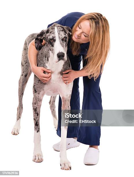 Mulher Médico Enfermeira Veterinárias Com Cães Em Branco Grande Porte - Fotografias de stock e mais imagens de Técnico