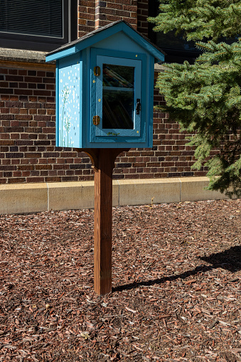 This image shows a close-up view of an inviting little neighborhood free library book box, on a sunny day.