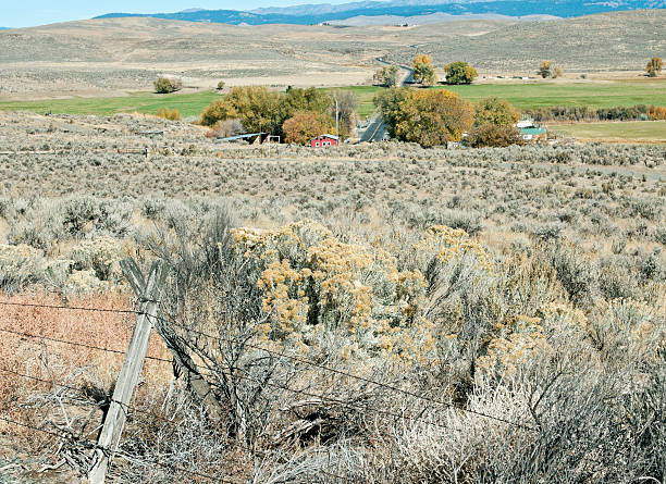 istock Landscape in rural northeastern Oregon 174964728