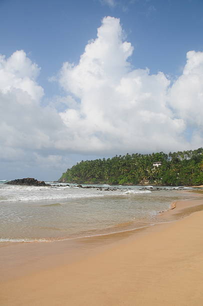 istock Mirissa Beach, Sri Lanka. 174964881