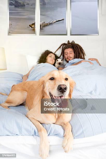 Foto de Seus Amigos e mais fotos de stock de Adulto - Adulto, Animal de estimação, Animal doméstico