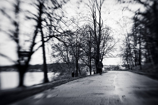 人々で、公園を散歩冬、ストックホルム - road isweather2012 weather country road ストックフォトと画像