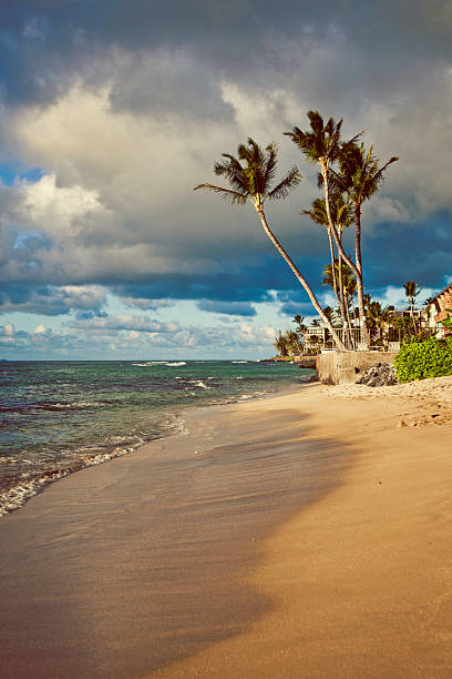 istock Beach in Maui, Hawaii 174965265
