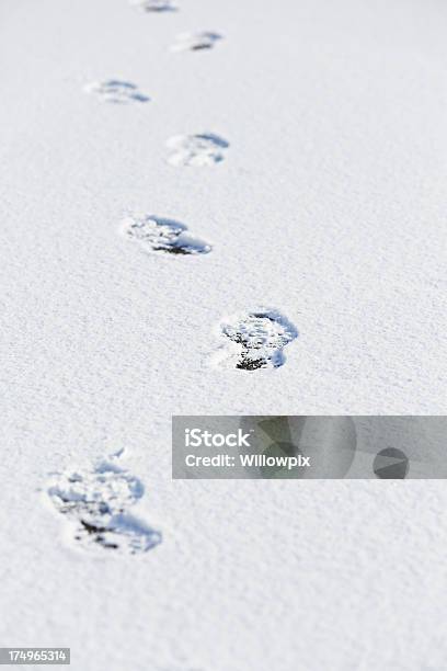 Neve Fresca Pé Imprime - Fotografias de stock e mais imagens de Ao Ar Livre - Ao Ar Livre, Condições Meteorológicas, Congelado