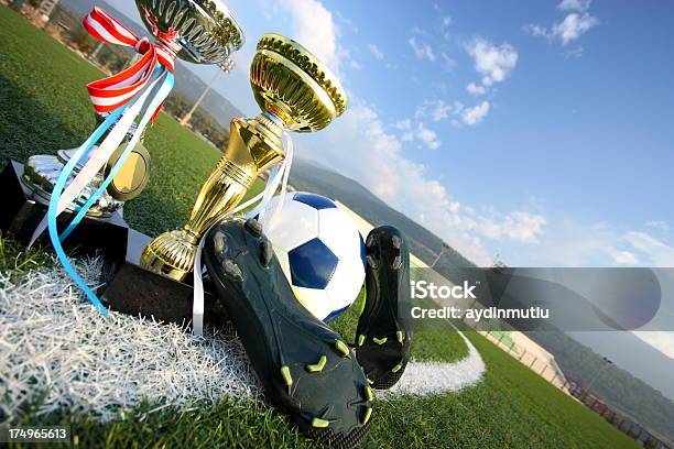 Campo Da Calcio - Fotografie stock e altre immagini di Allenamento - Allenamento, Aspirazione, Attività