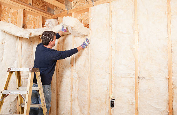 istock Construction Worker Insulating Wall with Fiberglass Batt 174965786