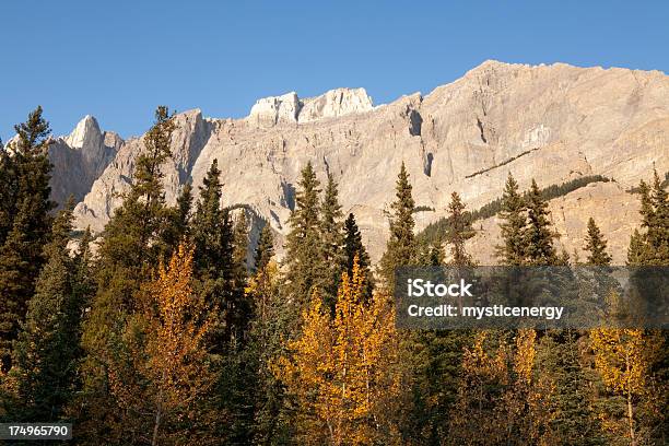 캐나다식 로키스 0명에 대한 스톡 사진 및 기타 이미지 - 0명, 가을, 경관