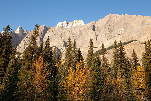 istock Canadian Rockies 174965790