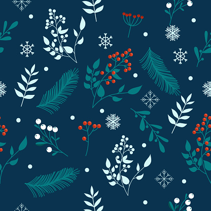 Winter background with fir branches, berries and snowflakes. Vector illustration.