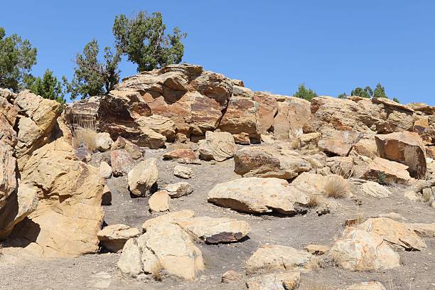 istock Sandstones and trees in desert 174966402