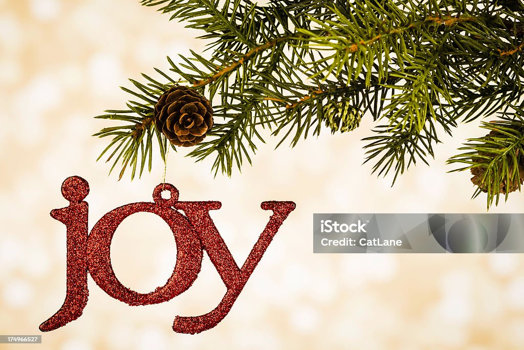 Wishing Joy for the Holiday Season JOY message on Christmas tree branch Celebration Stock Photo