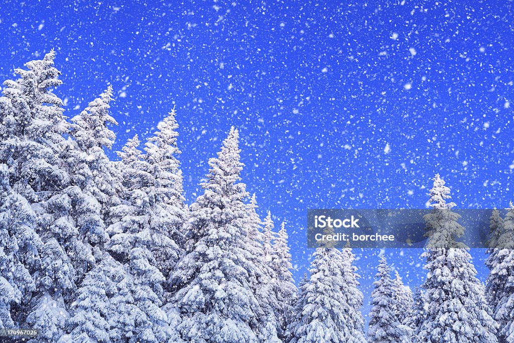 Snowy Winter Day Idyllic snowy winter scene. Arctic Stock Photo