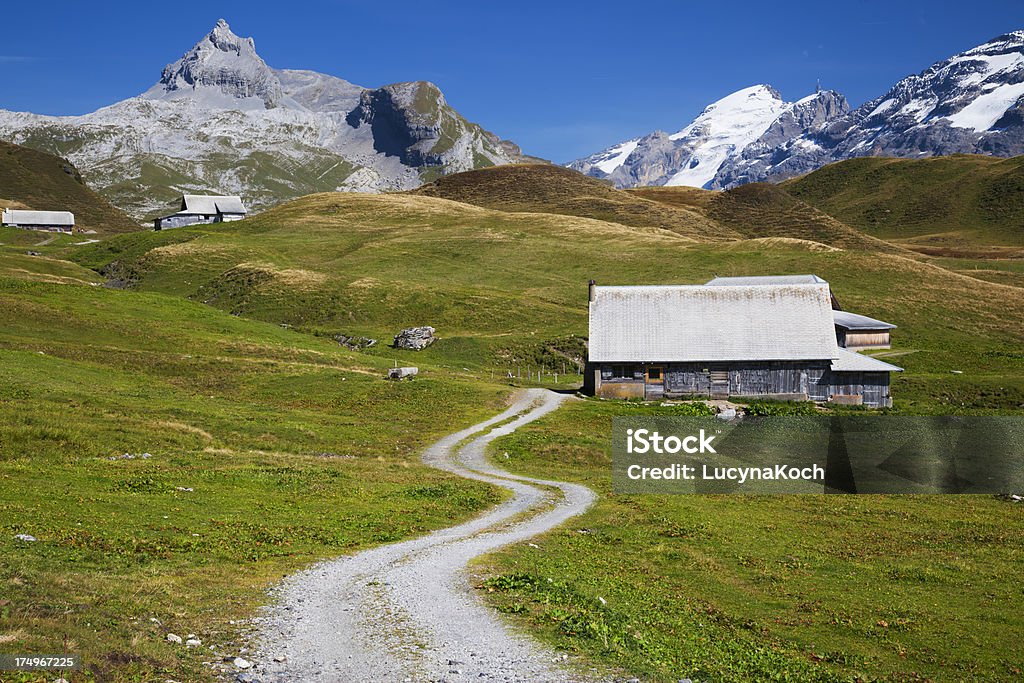 Alpen Sommer - Lizenzfrei Alpen Stock-Foto