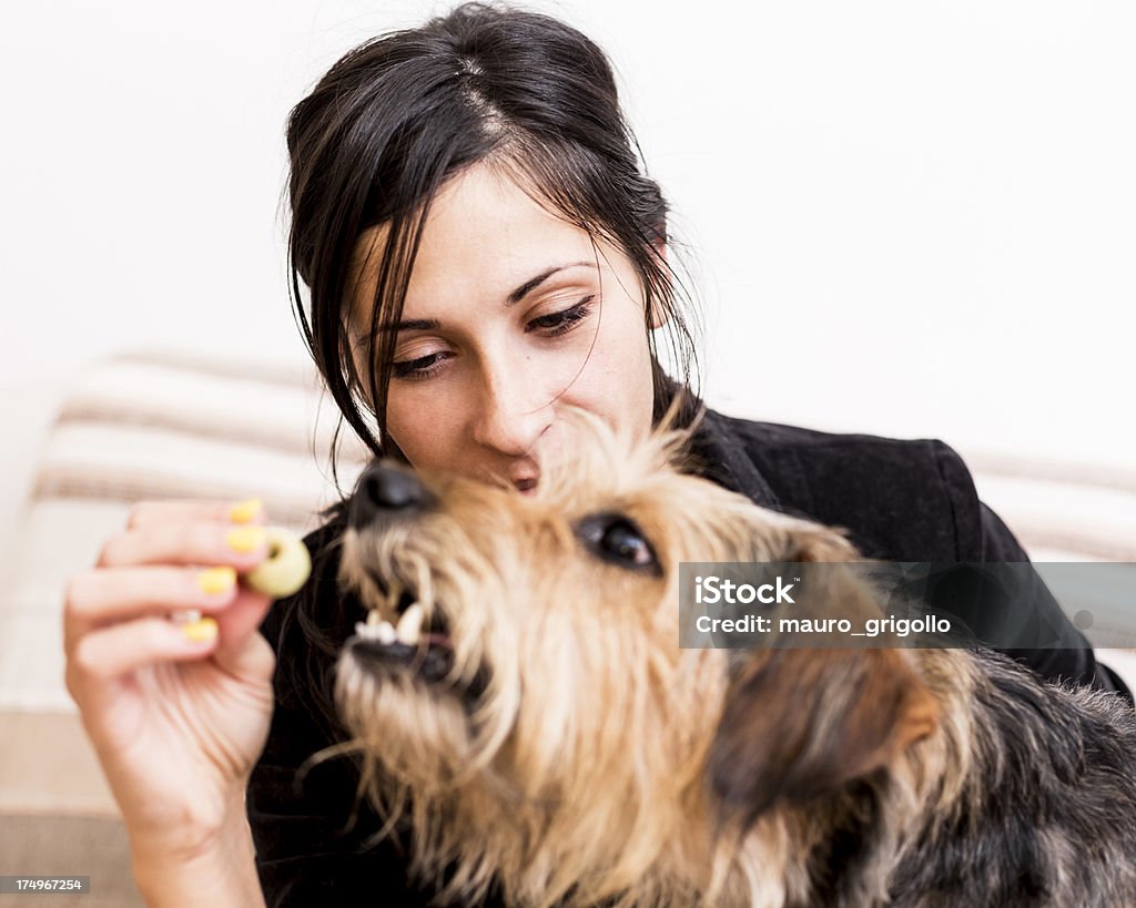 Femme jouant avec son chien - Photo de 20-24 ans libre de droits