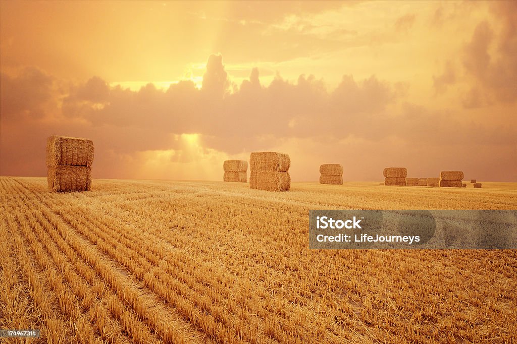 Paisible de la campagne environnante pittoresque avec Bales de foin au coucher du soleil vif - Photo de Agriculture libre de droits