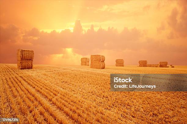 Photo libre de droit de Paisible De La Campagne Environnante Pittoresque Avec Bales De Foin Au Coucher Du Soleil Vif banque d'images et plus d'images libres de droit de Agriculture