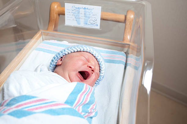 recém- nascidos, bebés a chorar - hospital nursery imagens e fotografias de stock