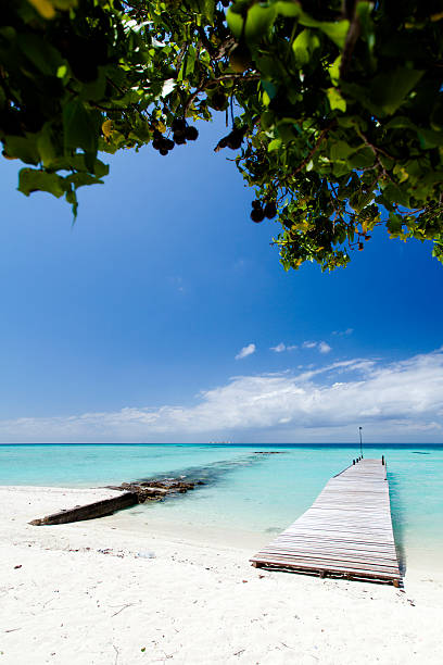 istock Pier in the tropics 174967966