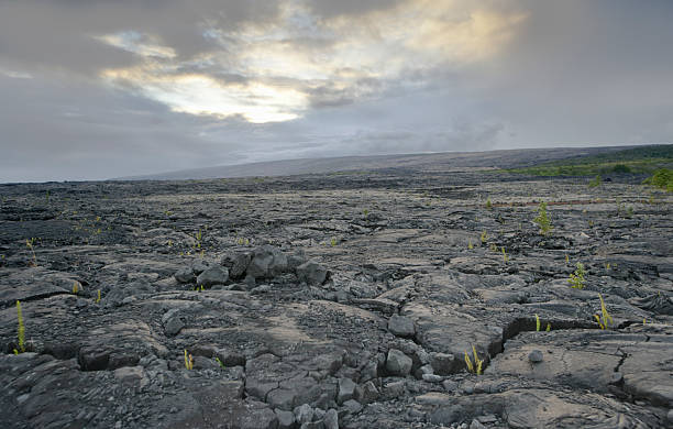 istock Kalapana volcano area on Hawaii 174968091