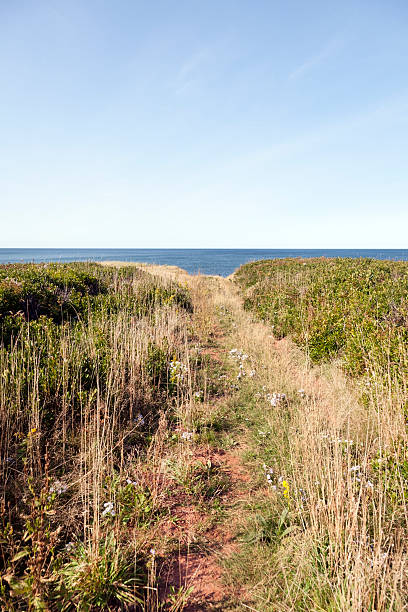 Ocean Path Path to Prince Edward Island National Park at Cavendish. Vertical.-For more Maritime Canada images, click here.  CANADA'S MARITIME PROVINCES  cavendish beach at prince edward island national park canada stock pictures, royalty-free photos & images
